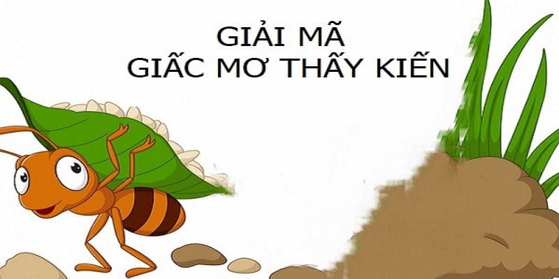 Nằm Mơ Thấy Kiến